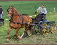 1POSIEUX 0511